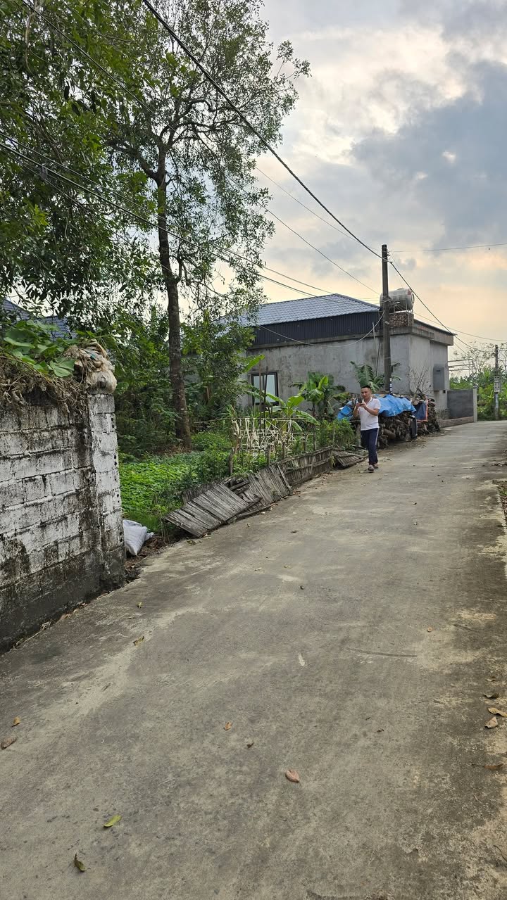 Đất nền Gia Hòa Gia Viễn 100m² giá 800 triệu - Đường thông tứ phía thuận tiện!