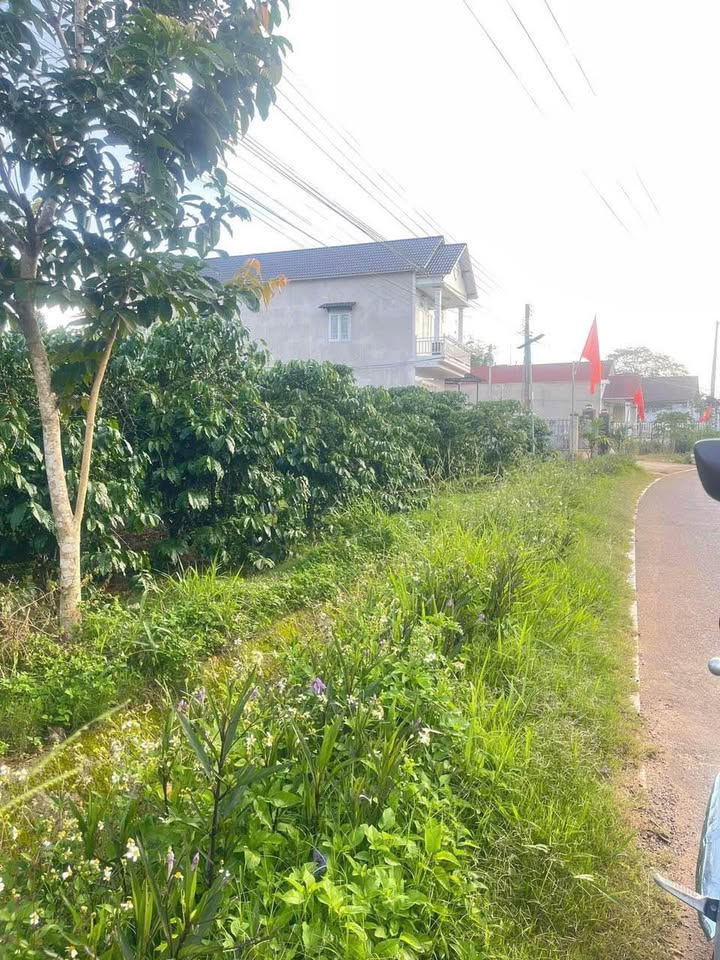 Đất nền mặt tiền TL725 Lộc Ngãi 760m² giá 806.4 triệu - Đầu tư sinh lời ngay!