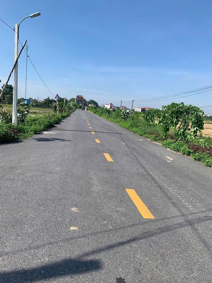 Đất nền Minh Đức, Tứ Kỳ 120m² giá chỉ vài trăm triệu - Cơ hội vàng cho nhà đầu tư!