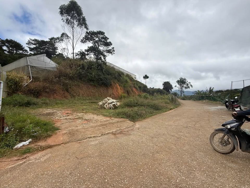 Đất vườn Lạc Dương 5800m² giá 8.7 tỷ - Đầu tư sinh lời ngay!