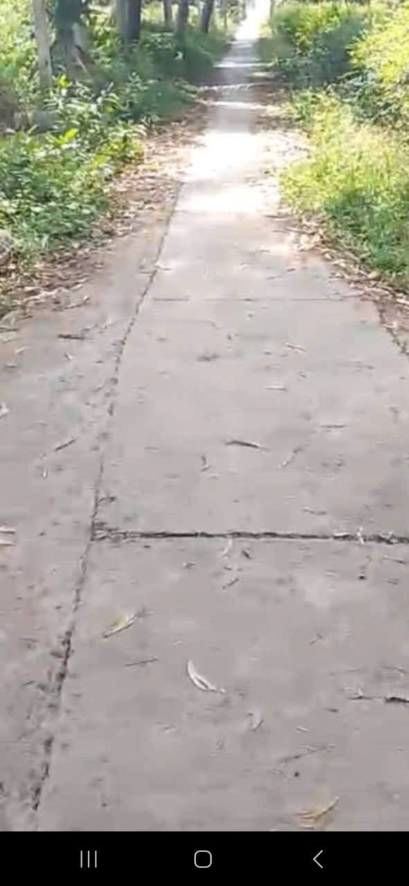 Đất thổ cư 100m² tại xã Tân Hòa Thành, giá chỉ 250 triệu - Cơ hội đầu tư tuyệt vời!