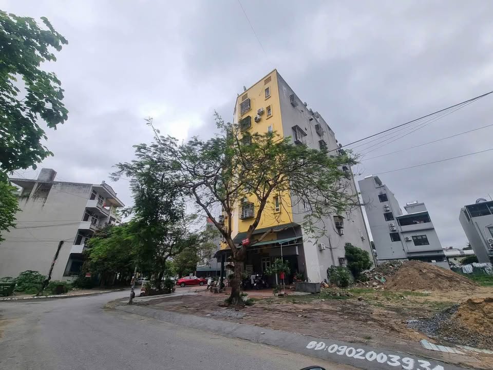 Đất nền Cao Xanh Hạ Long 255,1m² - Đường sầm uất giao thương