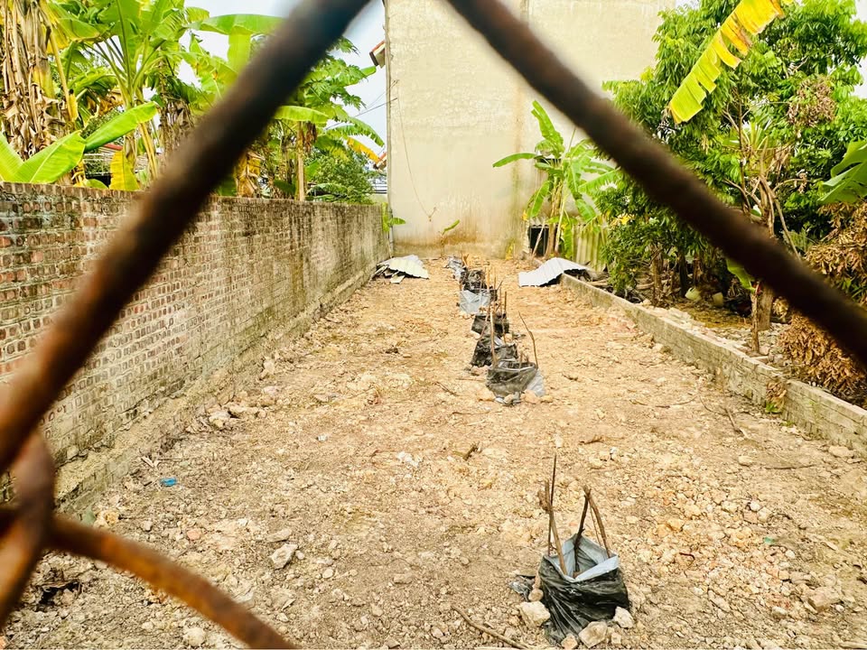 Đất thổ cư Mai Đình Sóc Sơn 99m² giá 2.772 tỷ - Tiềm năng phát triển cao!