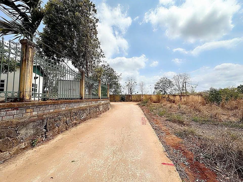 Đất nền phường Ea Kao 145m² giá 950 triệu - Cơ hội đầu tư tuyệt vời!