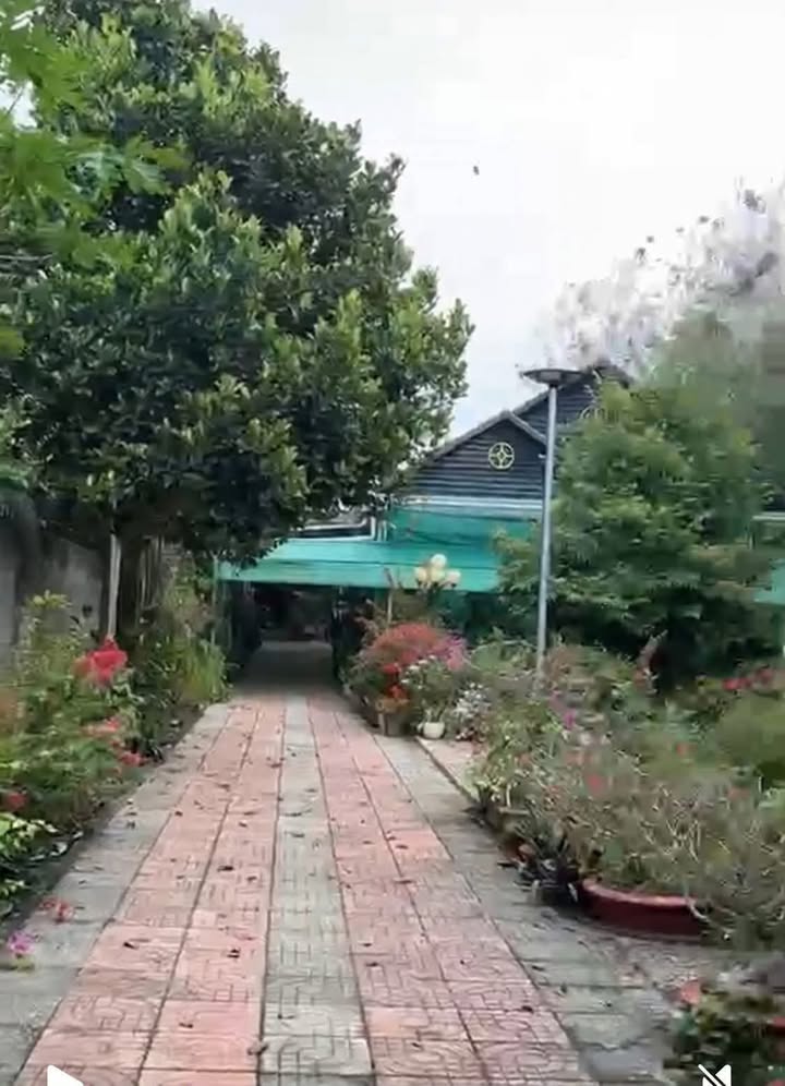 Nhà vườn Long Phước, Bà Rịa 2010m² giá 8.5 tỷ - Không gian sống lý tưởng!