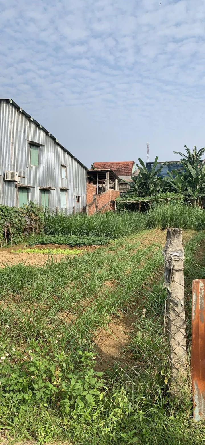 Đất Duy Trinh - Duy Xuyên 324m² giá thỏa thuận - Đường ô tô vào tận nơi!