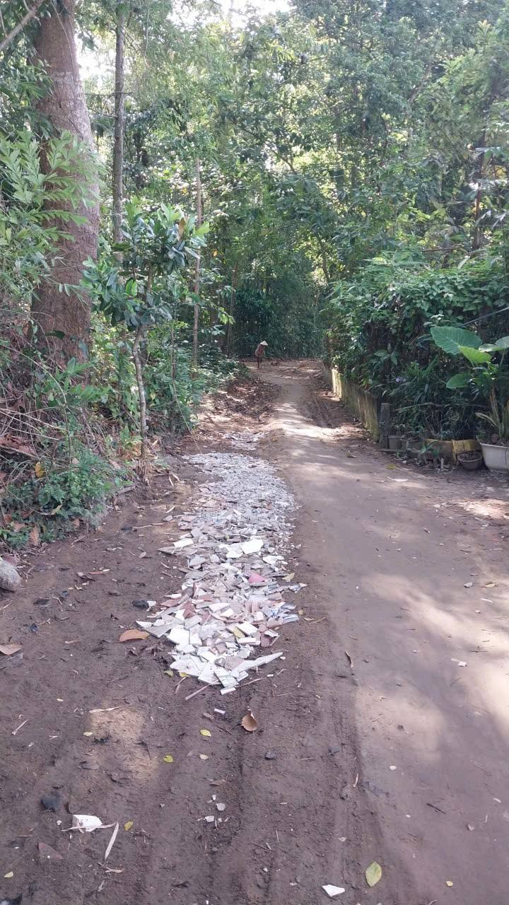 Đất thổ cư 135m² hẻm ô tô đường HL 10, xã Hoà Thuận chỉ 250 triệu - Cơ hội đầu tư hiếm có!