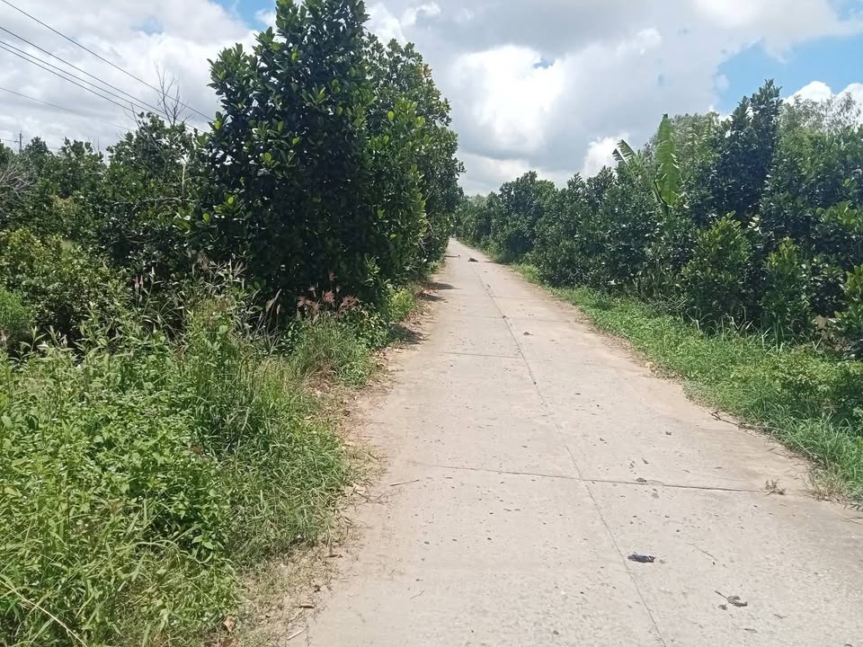 Đất nông nghiệp Thanh Mỹ 5,4 công giá 2.43 tỷ - Cơ hội đầu tư sinh lời!