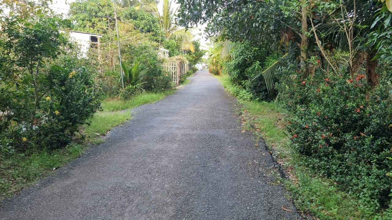 Đất nền Cái Bè 186m² giá 650 triệu - Sổ đỏ chính chủ, vị trí đẹp bên sông!