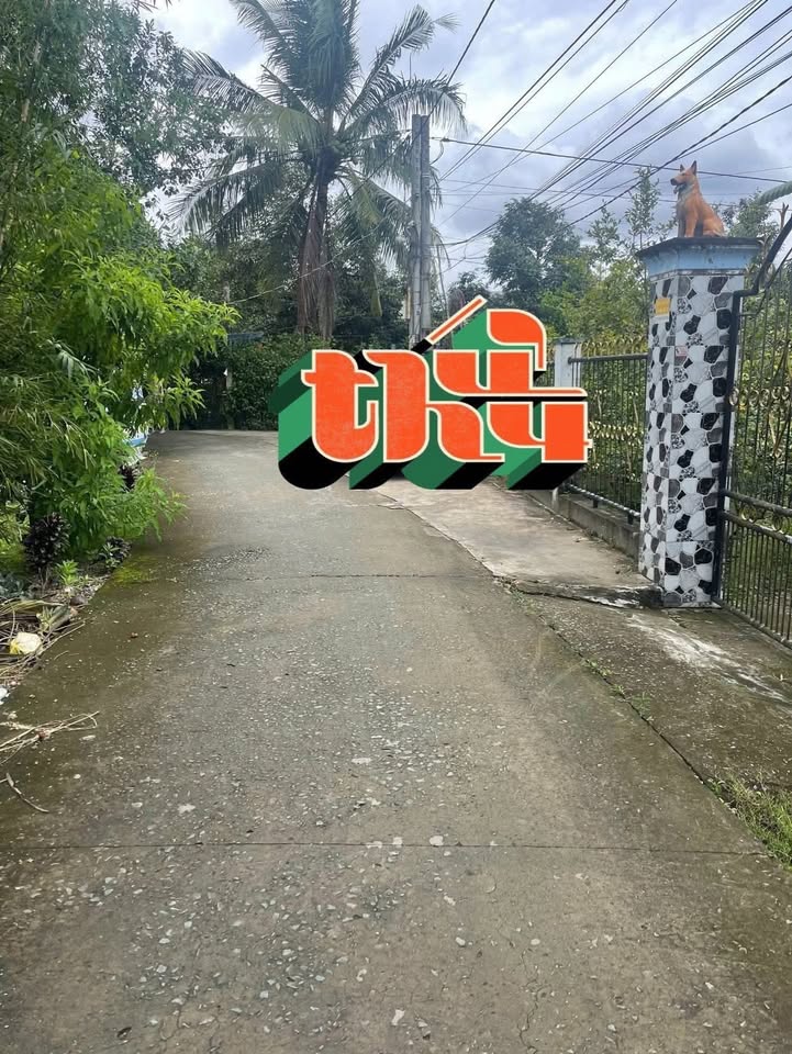 Đất nền thổ cư 125m² tại phường Cai Lậy, chỉ 420 triệu - Sổ hồng chính chủ!