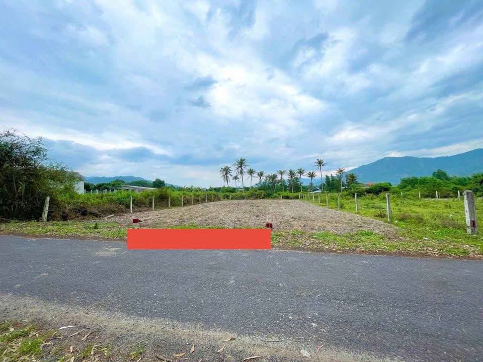 Đất Suối Tiên Diên Khánh 254m² giá 1.48 tỷ - Đường nhựa 8m thuận tiện buôn bán!