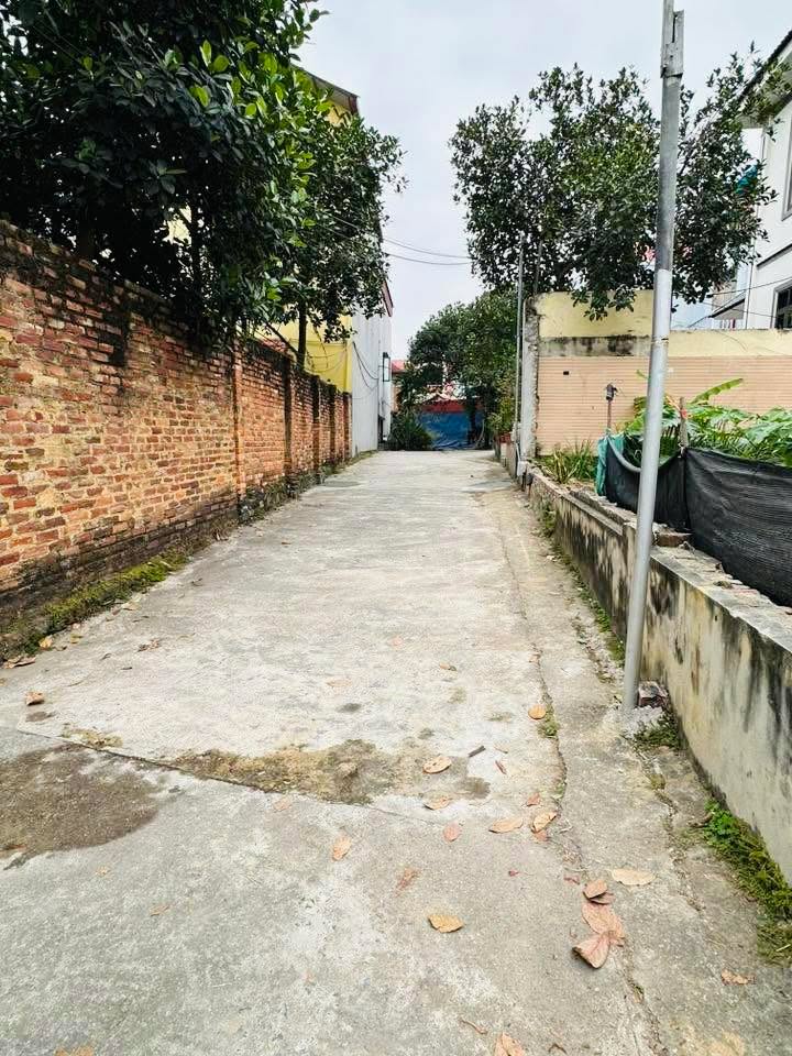 Đất nền Ngô Xá, Phật Tích, Bắc Ninh 70,5m² giá 1,65 tỷ - Cơ hội đầu tư tuyệt vời!