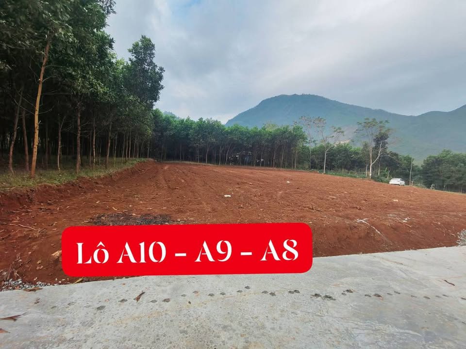 Đất nền Ngọc Phụng Thường Xuân 175m² giá chỉ 100 triệu - Cơ hội đầu tư hấp dẫn!