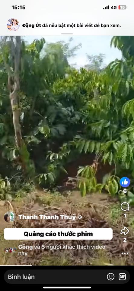 Farm 2 Sào Hòa Khánh 7200m² giá 1.3 tỷ - Nguồn thu ổn định từ cà phê!