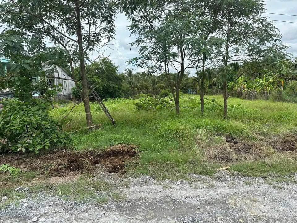 Lô đất thổ cư mặt tiền đường Sông Bảo Định, Tân An 478m² - Sổ riêng, giá tốt!