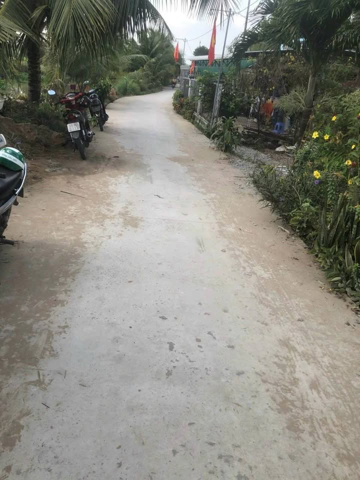 Đất thổ cư Cờ Đỏ 256m² giá 500 triệu - Cơ hội đầu tư sinh lời!