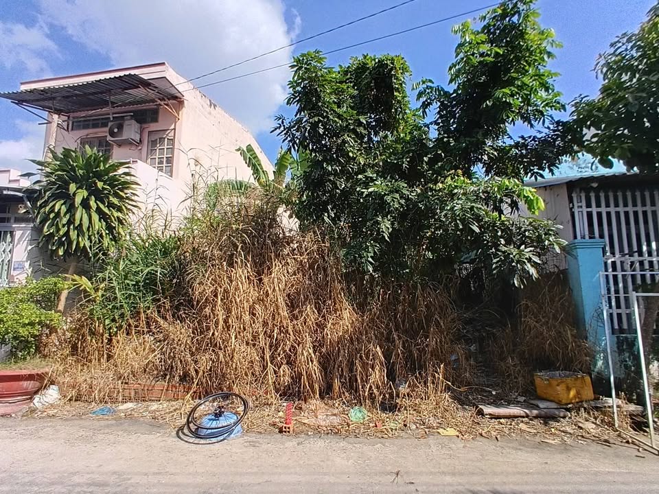 Đất nền hẻm 361 đường Trần Quang Diệu, 150m² giá 3.55 tỷ - Đầu tư sinh lời ngay!