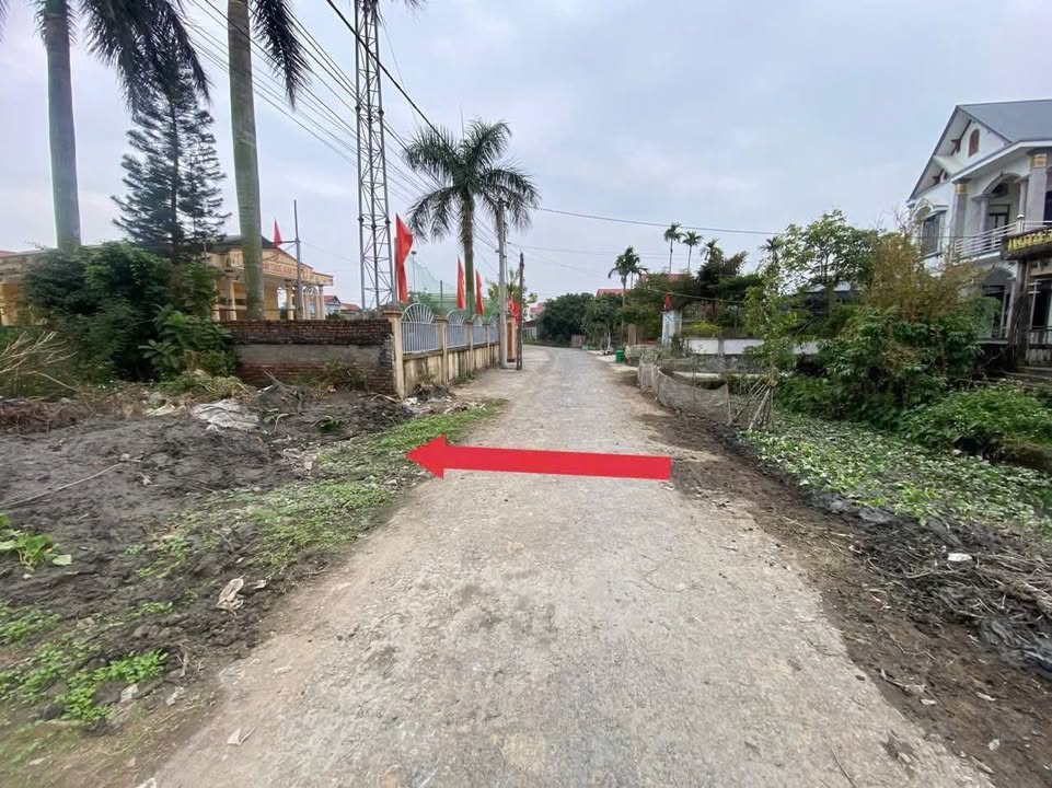 Đất nền tại Đức Xương, Gia Lộc, 72m² giá thỏa thuận - Đường thông ô tô tránh nhau!