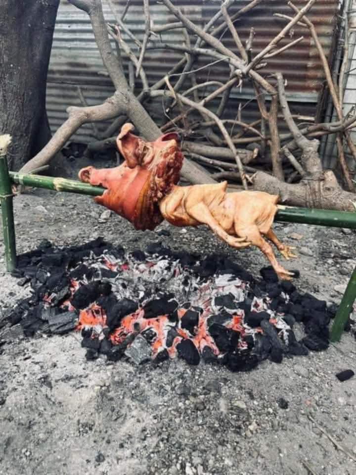 Đất nền Phú Lộc Krông Năng 250m² giá chỉ 250 triệu - Cơ hội đầu tư tuyệt vời!