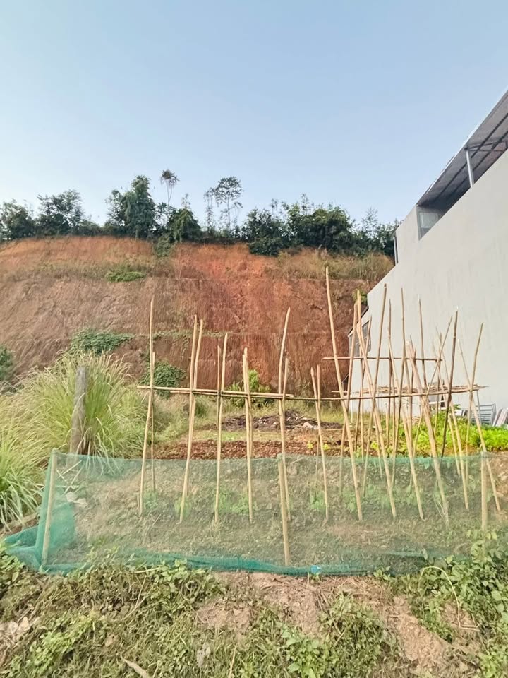 Đất nền Phố Lu, Bảo Thắng 109m² giá chỉ 700 triệu - Đầu tư sinh lời ngay!