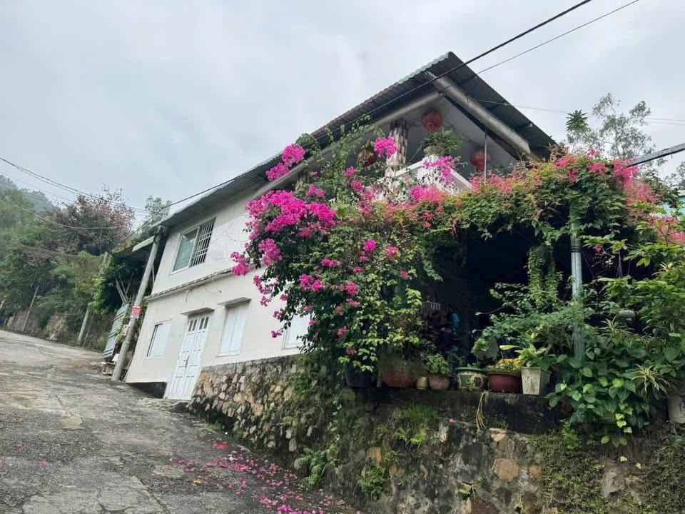 Nhà mặt tiền hẻm 112 Trần Phú, Vũng Tàu 335m² giá 25 tỷ - Đầu tư sinh lời!