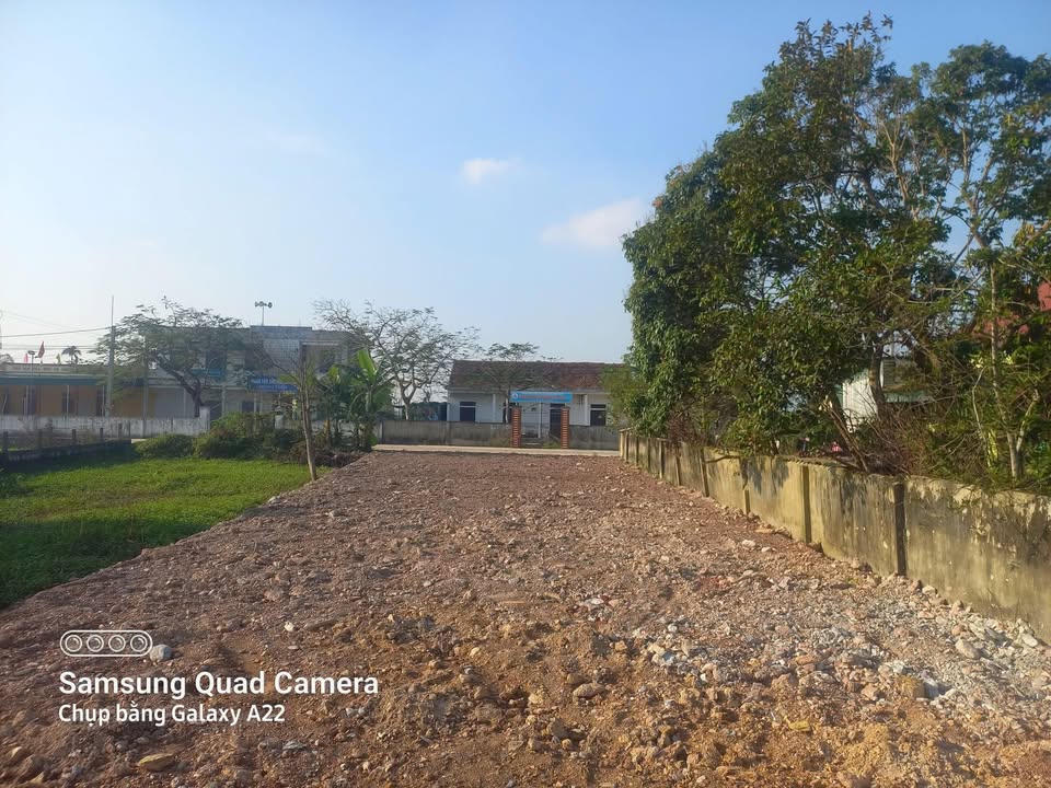 Đất nền Kim Liên, Nam Đàn 110m² - Giá chỉ từ trăm triệu, cơ hội đầu tư tuyệt vời!