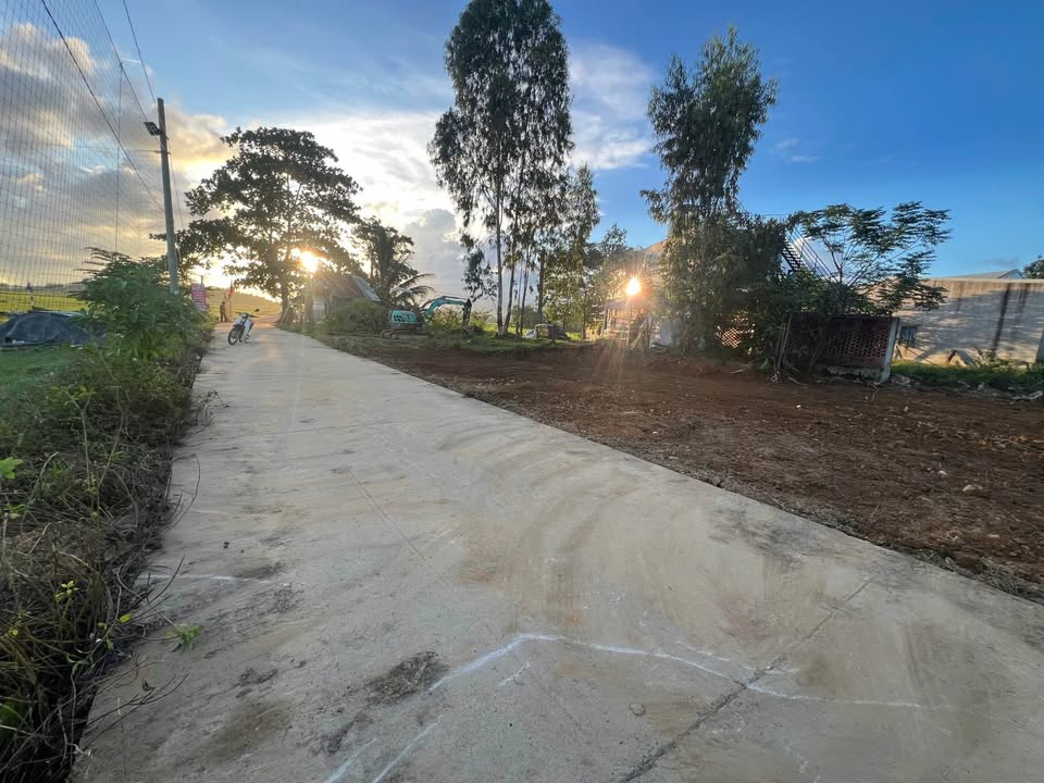 Đất trồng cây 1000m² tại Điện Tiến chỉ 9,5 triệu - Cần bán gấp!