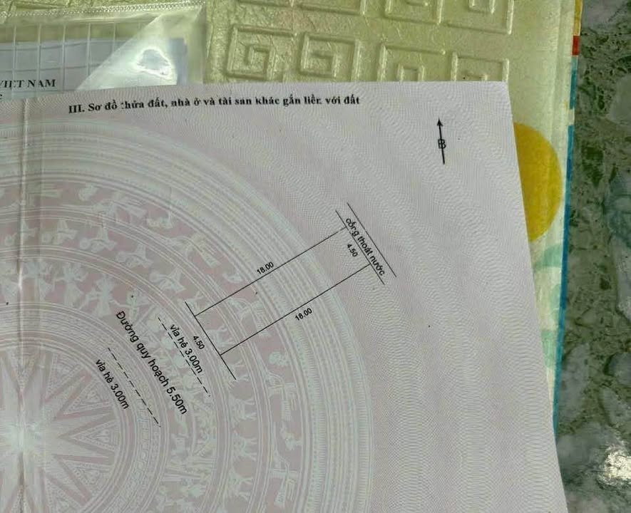 Đất mặt tiền Huỳnh Thị Bảo Hòa, Đà Nẵng 81m² giá 3.2 tỷ - Vị trí kinh doanh tuyệt vời!