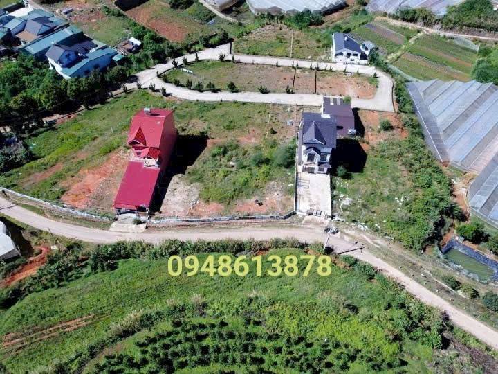 Đất nghỉ dưỡng Lạc Dương Đà Lạt 185m² giá 3.5 tỷ - Sổ hồng riêng, đầu tư lý tưởng!