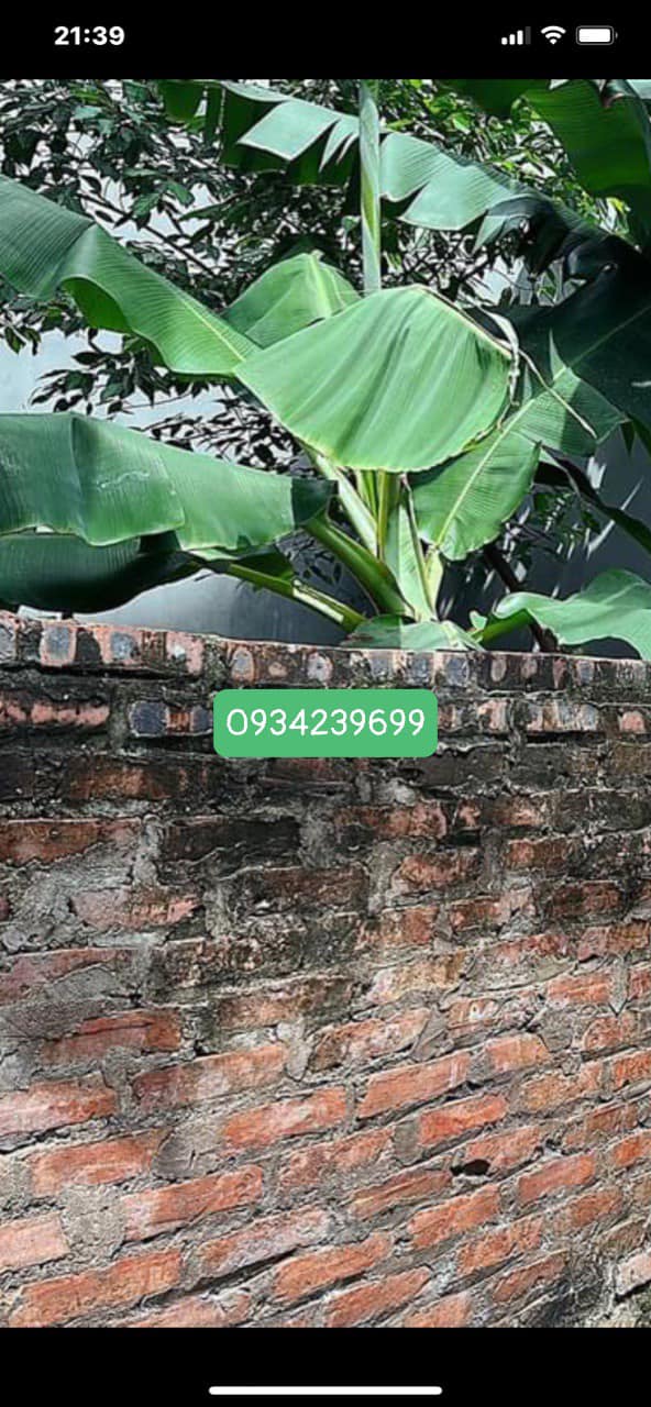 Đất nền Bồ Đề Long Biên 80m² giá 5.3 tỷ - Cơ hội hiếm có cho nhà đầu tư!