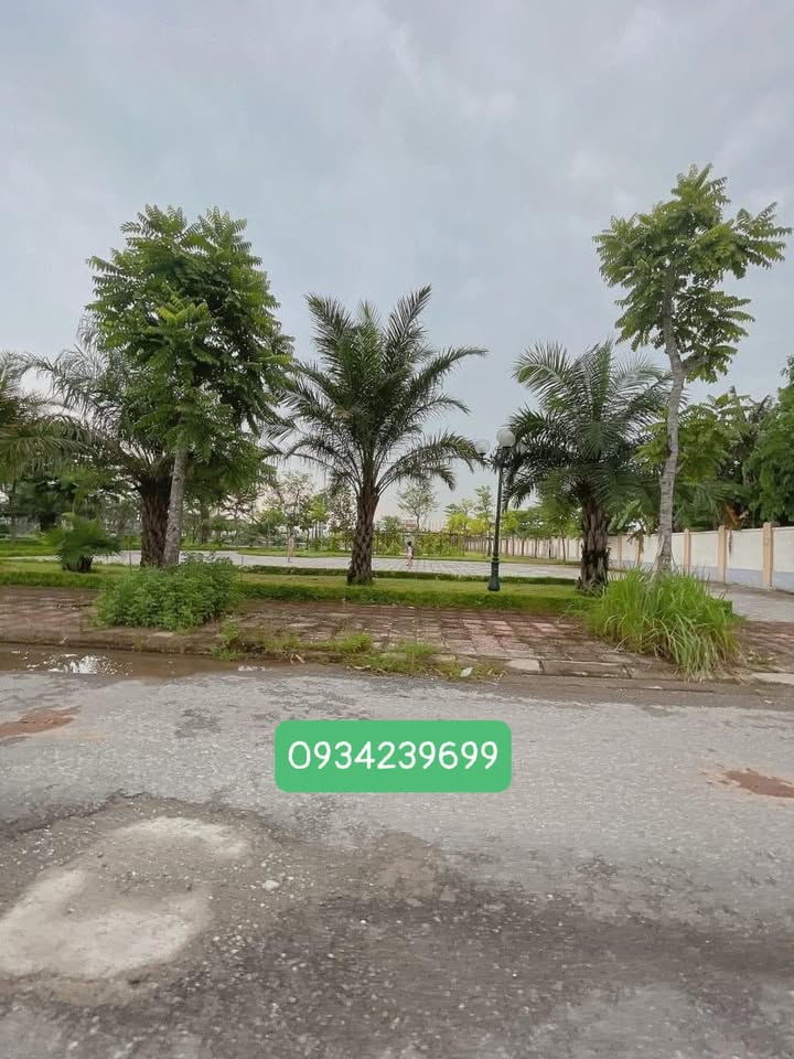 Đất nền Ngọc Thụy Long Biên 85m² giá 11.7 tỷ - Cơ hội đầu tư cực hiếm!