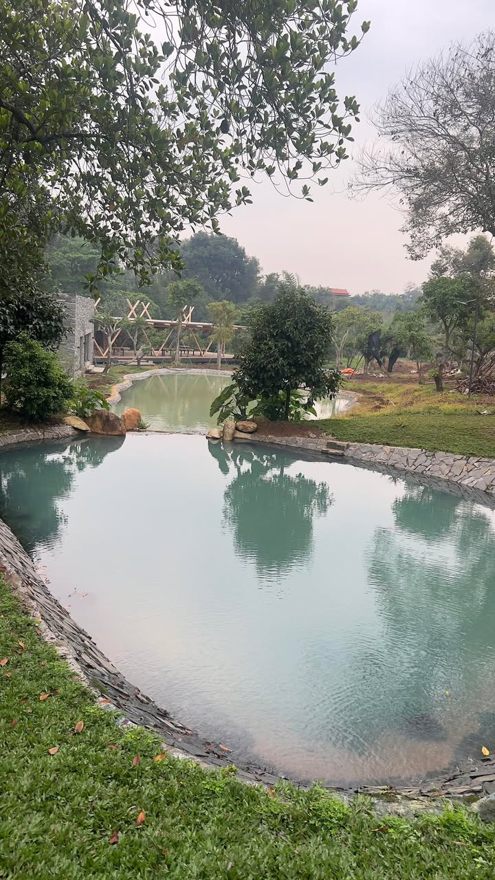 Đất vườn Đất Đỏ 5000m² giá 7.5 tỷ - Cơ hội đầu tư vàng cho nhà đầu tư thông minh!