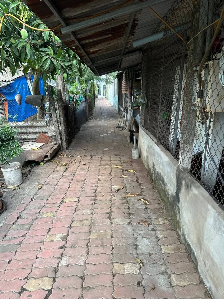 Đất vườn 3000m² tại P3, TP Tân An, Long An - Vị trí thuận lợi cho nghỉ dưỡng!