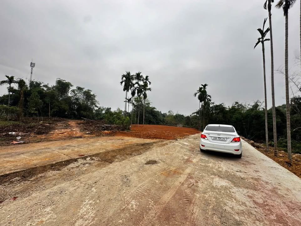 Lô đất Thịnh Đán 265m² giá 2 tỷ - Đầu tư sinh lời cao!