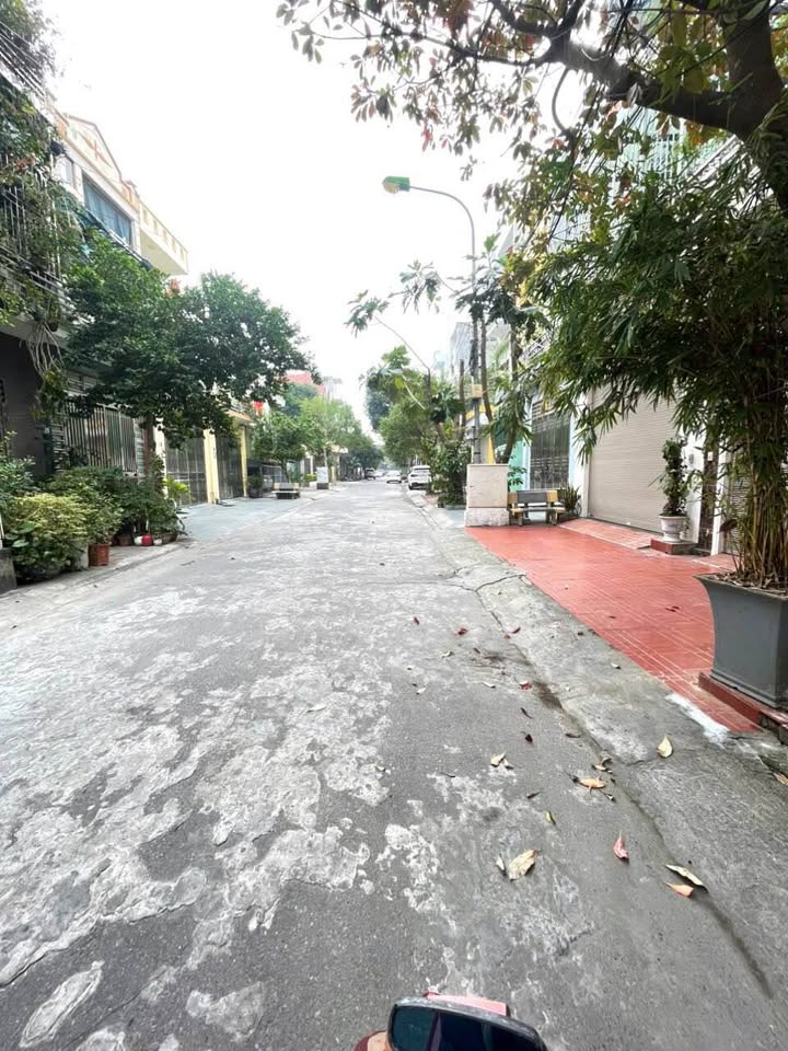 Đất nền Khu B TDC Trần Lãm 75,6m² giá chỉ 4 tỷ - Đầu tư lý tưởng!