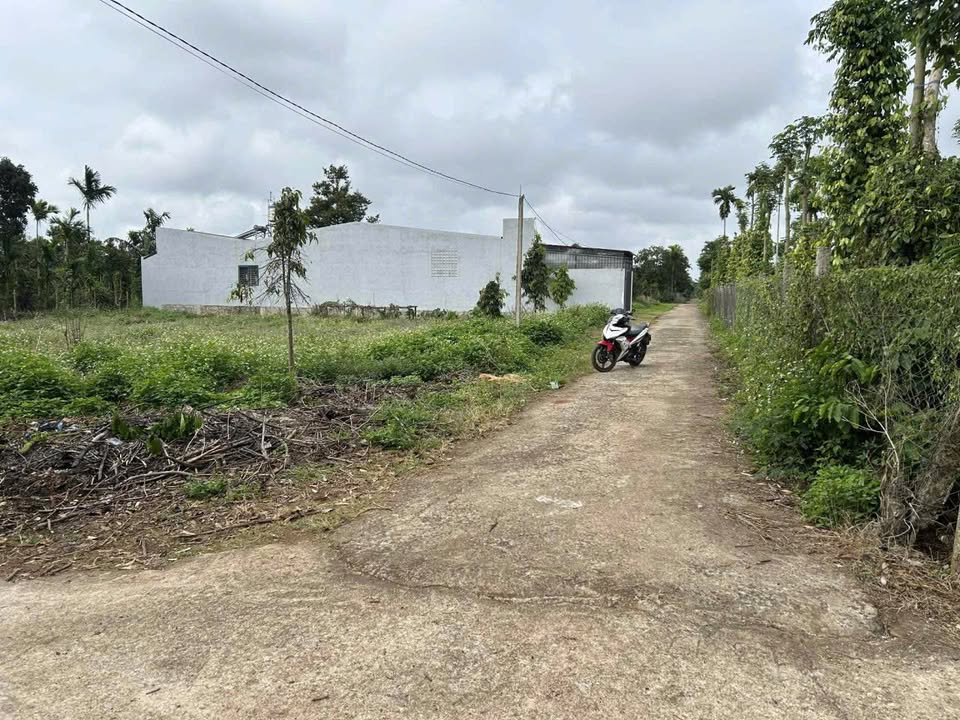 Đất nền Tân An, Buôn Ma Thuột 60m² giá 870 triệu - Cơ hội đầu tư hấp dẫn!