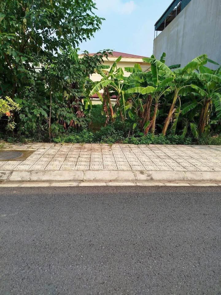 Đất phân lô xóm 5 Liêm Chung 88m² giá 3 tỷ - Tiềm năng đầu tư cao!