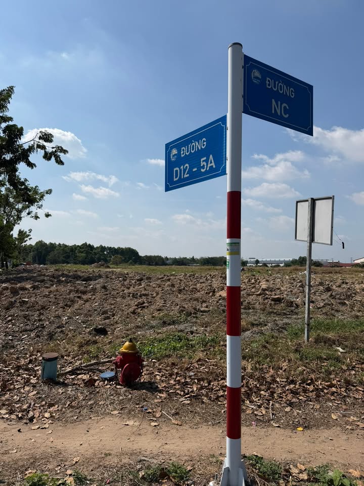 Đất thổ cư Bàu Bàng 300m² giá 6.5 tỷ - Kinh doanh tự do ngay mặt tiền đường nhựa!