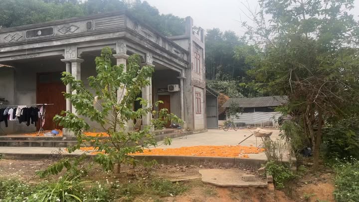 Trang trại 2ha tại Xuân Quang, Chiêm Hóa - Đầu tư sinh lời tuyệt vời chỉ 1.5 tỷ!