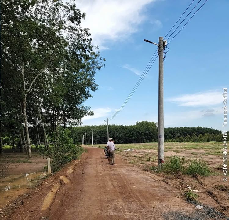 Đất nền Minh Thạnh, Dầu Tiếng 300m² giá chỉ 585 triệu - Cơ hội đầu tư tuyệt vời!