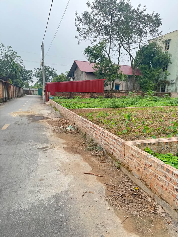 Đất thổ cư Võng Xuyên - Phúc Thọ 80m² giá thỏa thuận - Vị trí đẹp gần trường học!