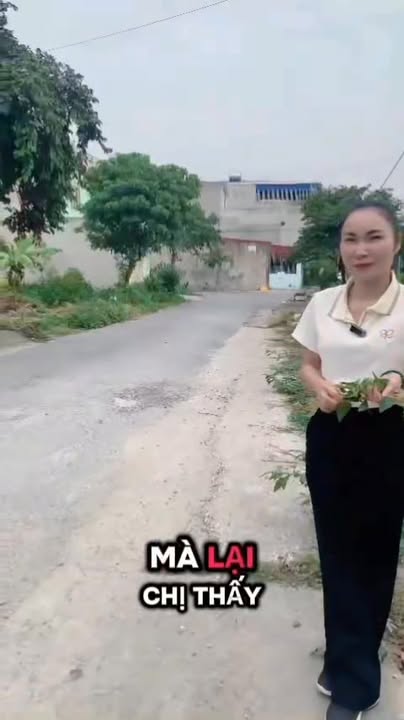 Đất nền An Dưỡng Hải Phòng 92m² giá chỉ 2.8 tỷ - Vị trí đắc địa cho kinh doanh!