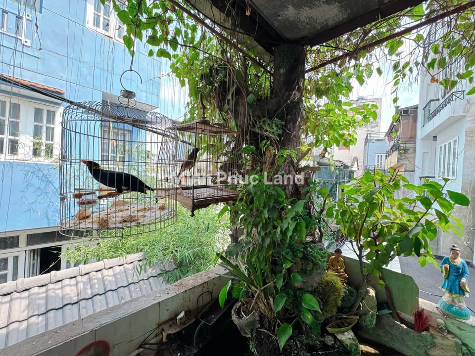 Đất nền Trần Văn Khánh, Quận 7, 100m² giá 7 tỷ - Vị trí vàng đầu tư CHDV!