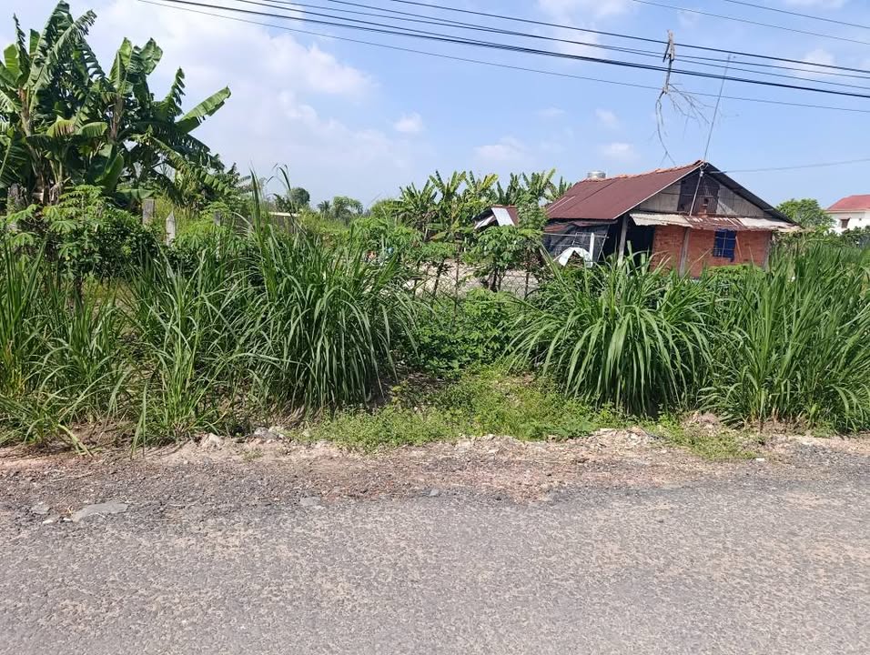 Đất mặt tiền nhựa Kp An Thới, An Tịnh, Trảng Bàng 250m² giá 1.9 tỷ - Cơ hội đầu tư tuyệt vời!