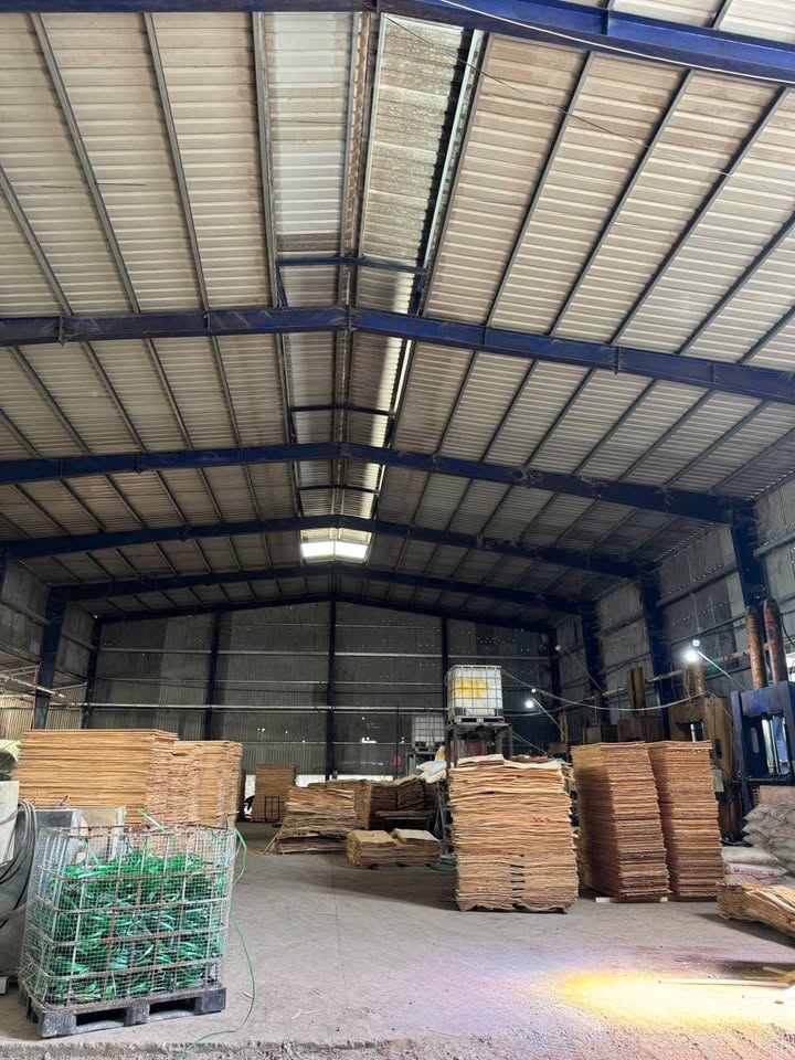 Cho thuê xưởng sản xuất 3.000m² tại KCN Giang Điền - Giá chỉ 120 triệu/tháng!