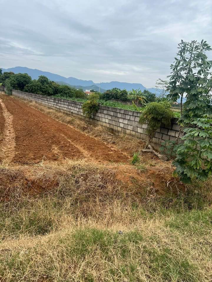 Đất quy hoạch thổ cư 3500m² tại phường Bình Khê, Đông Triều - Cơ hội đầu tư hấp dẫn!