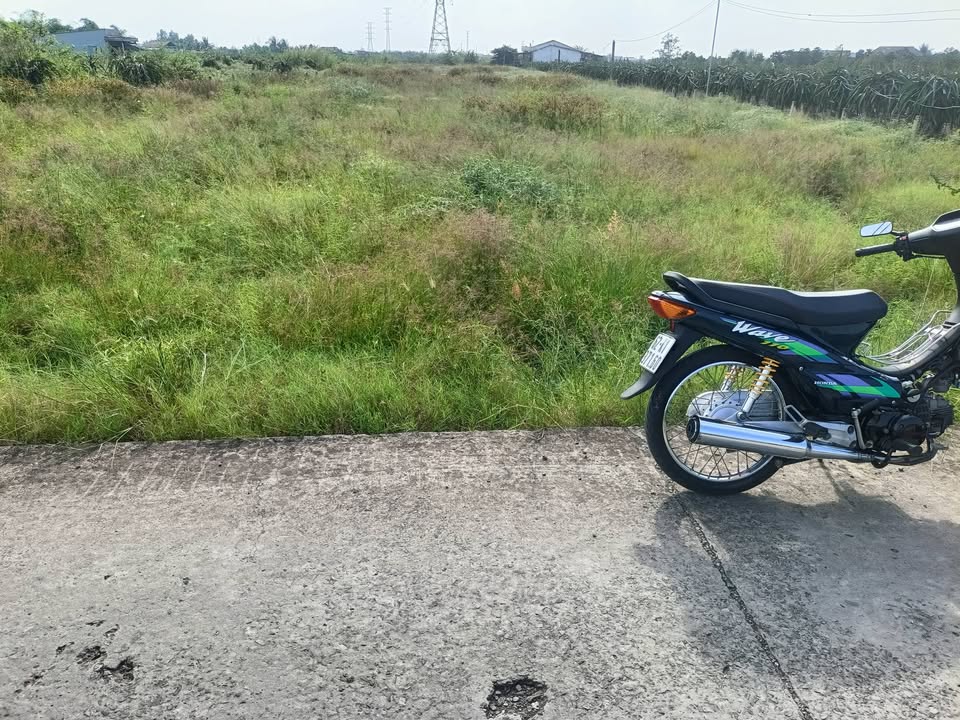 Đất thổ cư 3000m² tại Thanh Phú Long, Châu Thành, Long An - Giá chỉ 500 triệu!