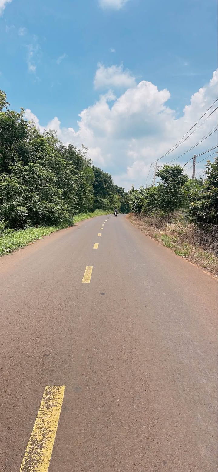 Đất nền Lộc Tấn, Lộc Ninh 2000m² giá 3 tỷ - Cơ hội đầu tư lý tưởng!