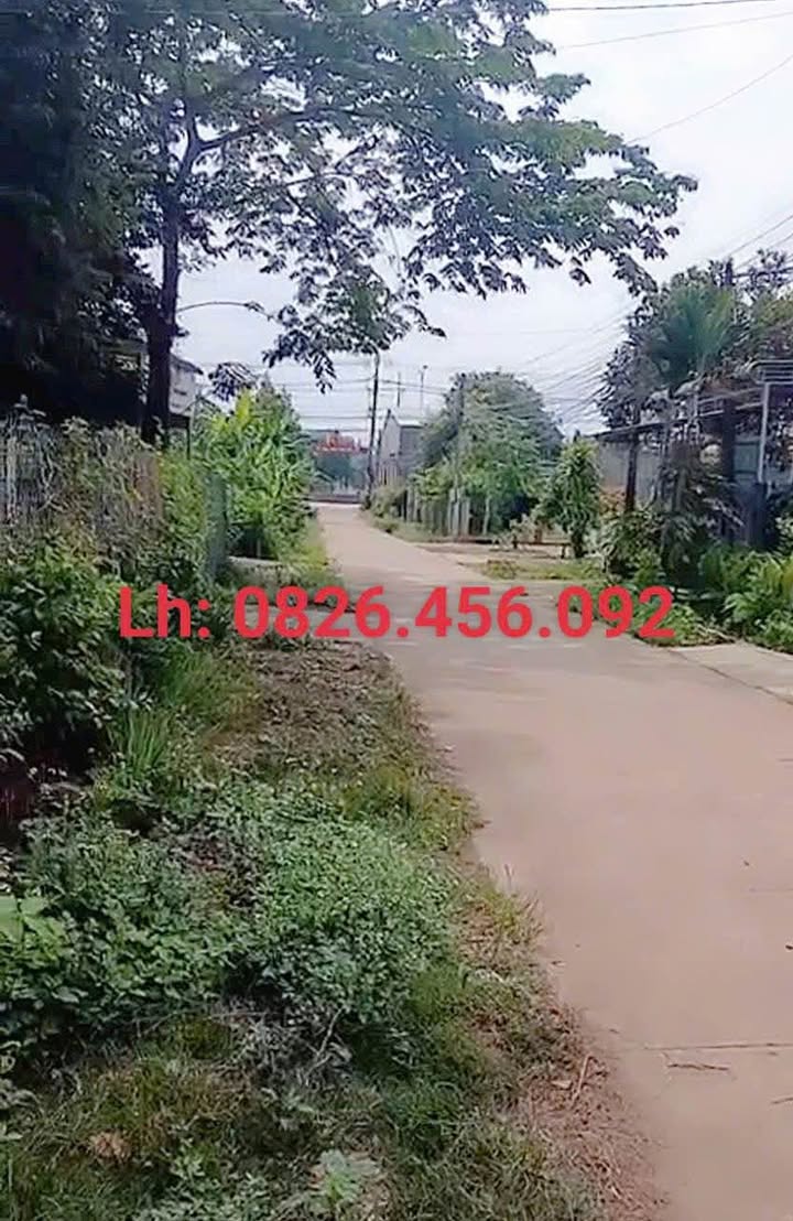 Đất nền Tân Phú Đồng Phú 372m² giá 1 tỷ - Cơ hội đầu tư hấp dẫn!