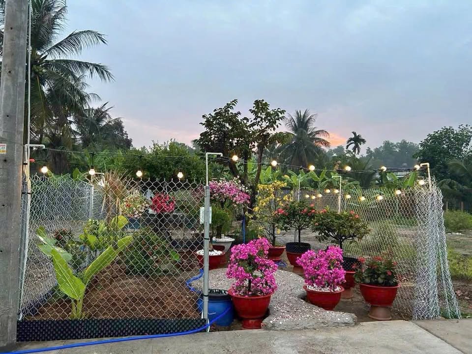 Đất nền KDC Phúc Giang Cần Đước 90m² giá 1.15 tỷ - Chính chủ bán gấp!